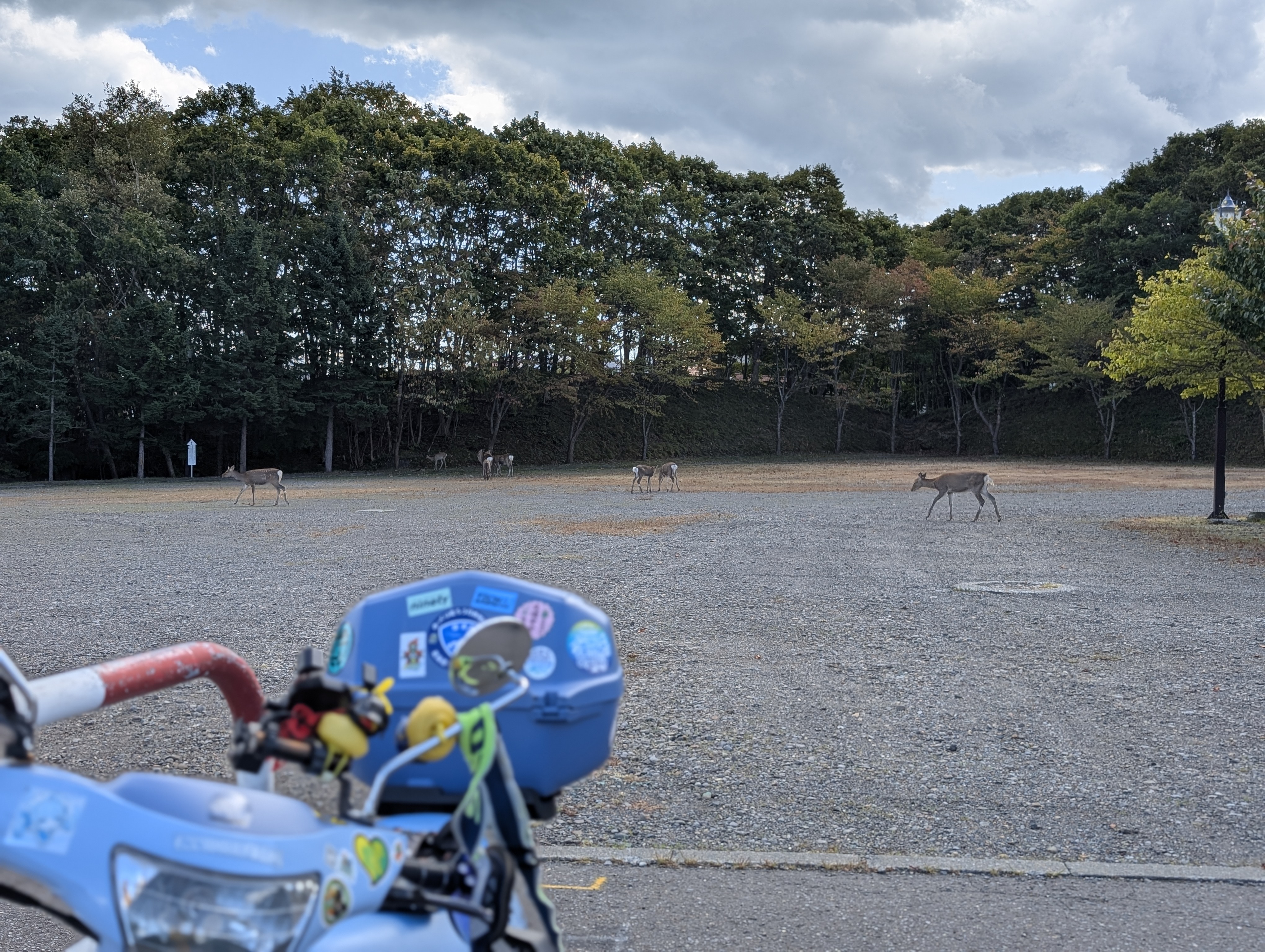 Re: 北海道到着?北きつね牧場まで