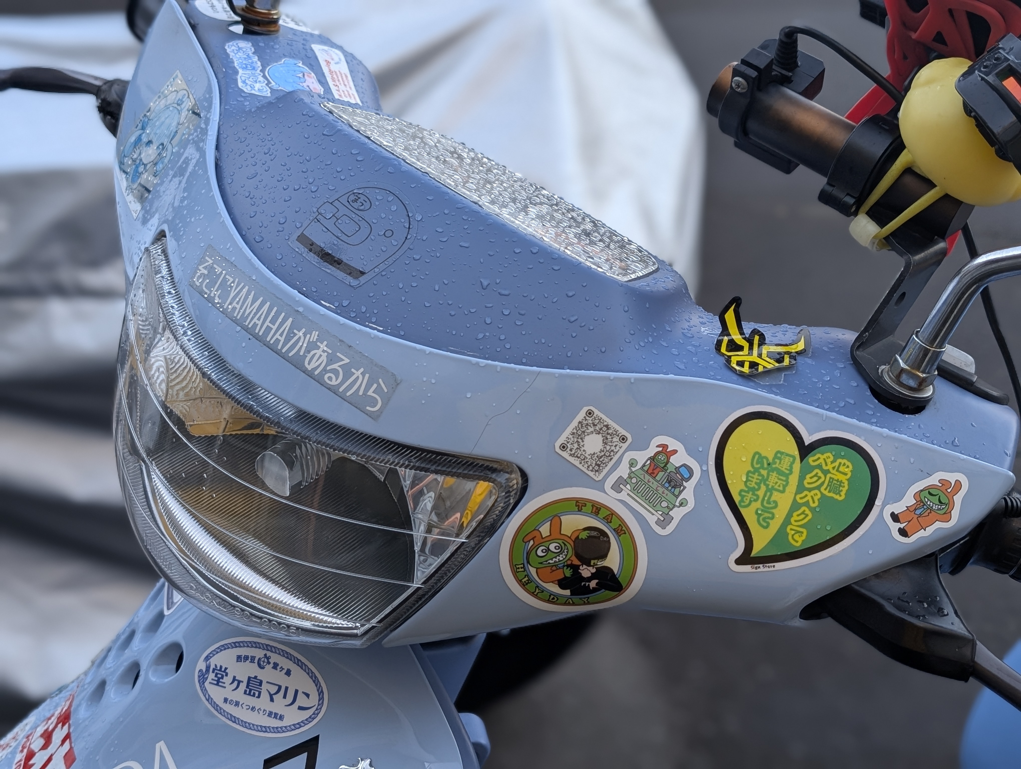 Re: 北海道到着?北きつね牧場まで