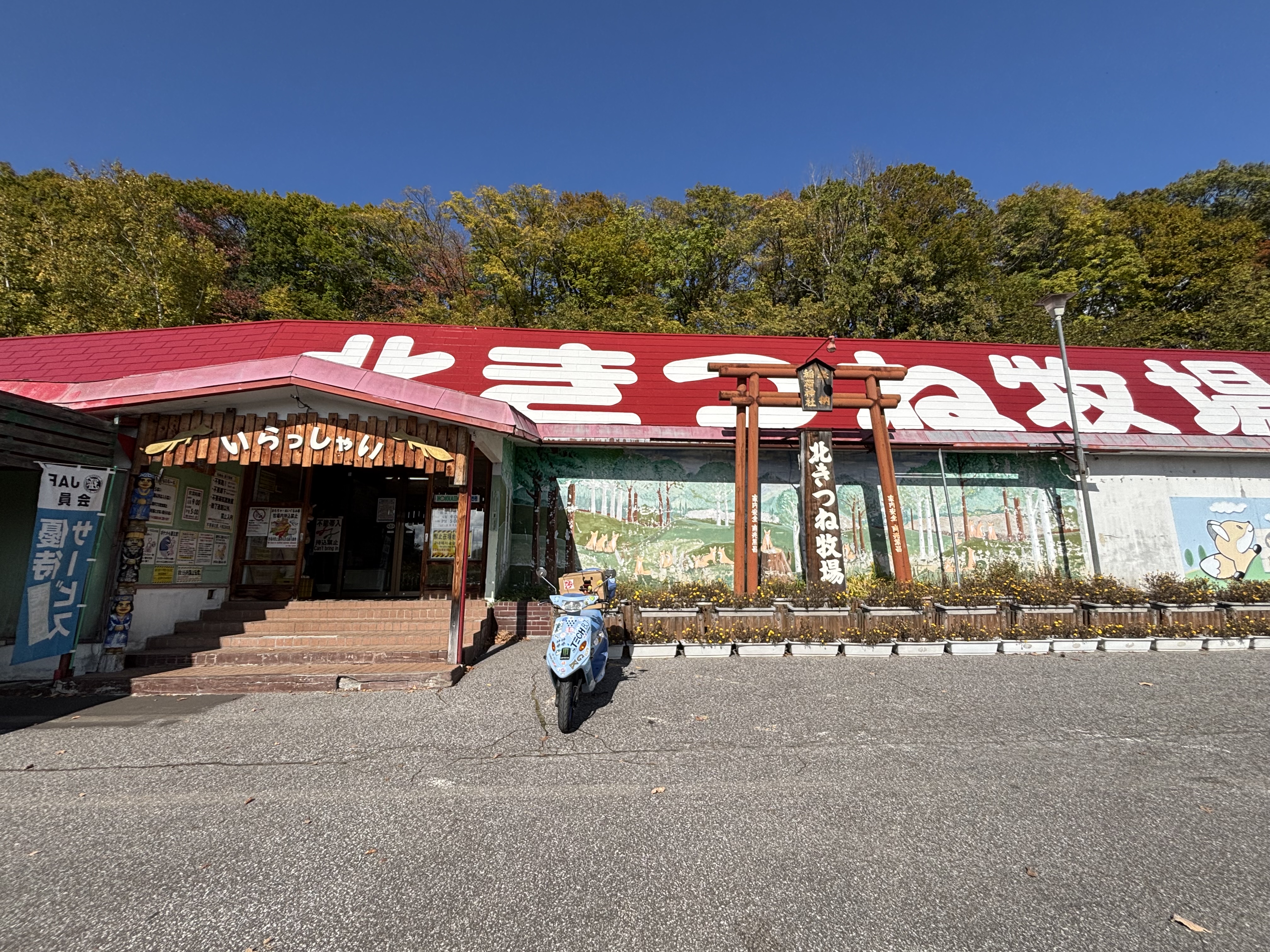 Re: 北海道到着?北きつね牧場まで